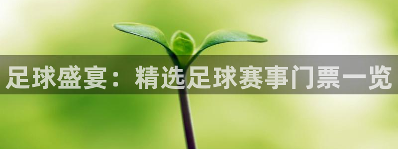 球速体育官方最新版本更新内容分享：足球盛宴：精选足球赛事门票