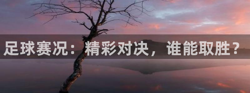 球速体育app下载入口官网最新版：足球赛况：精彩对决，谁能取